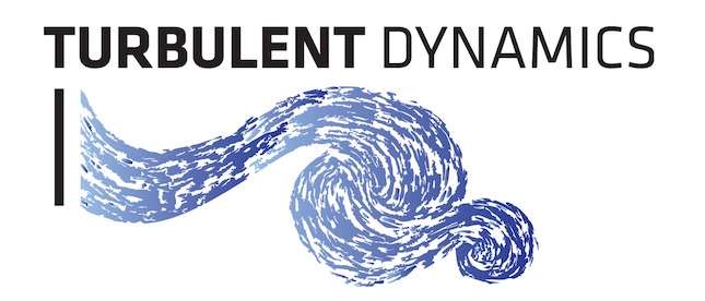 Turbulent Dynamics Logo